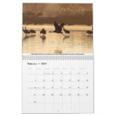 Sandhill Cranes Calendar Kalender (Feb 2027)