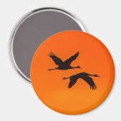 Sandhill Cranes fliegen in Sunset Magnet (Vorderseite/Rückseite)
