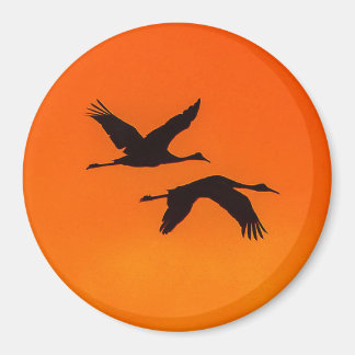 Sandhill Cranes fliegen in Sunset Magnet