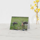 Sandhill Cranes Florida Birds Naturofotografie Karte (Gelbe Blume)