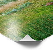 Sandhill Cranes Fotodruck (Ecke)