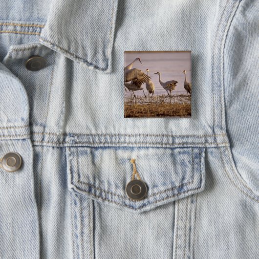 Sandhill Cranes Grus canadensis) Platte Button (Beispiel)