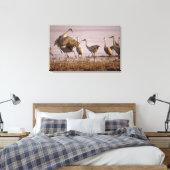 Sandhill Cranes Grus canadensis) Platte Leinwanddruck (Insitu (Schlafzimmer))