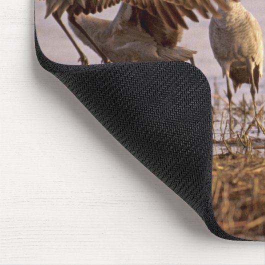 Sandhill Cranes Grus canadensis) Platte Mousepad (Ecke)