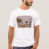 Sandhill Cranes Grus canadensis) Platte T-Shirt (Vorderseite)