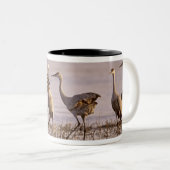 Sandhill Cranes Grus canadensis) Platte Zweifarbige Tasse (VorderseiteRechts)