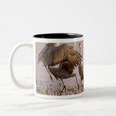 Sandhill Cranes Grus canadensis) Platte Zweifarbige Tasse (Links)
