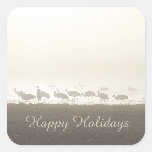 Sandhill Cranes in den verschlafenen glücklichen T Quadratischer Aufkleber (Vorderseite)