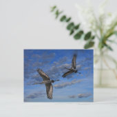 SANDHILL CRANES IN FLIGHT POSTKARTE (Stehend Vorderseite)