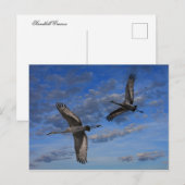 SANDHILL CRANES IN FLIGHT POSTKARTE (Vorne/Hinten)