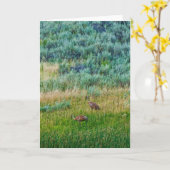 Sandhill Cranes Karte (Gelbe Blume)