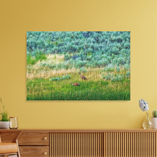 Sandhill Cranes Leinwanddruck (Insitu (Wohnzimmer))
