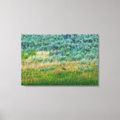 Sandhill Cranes Leinwanddruck (Vorderseite)