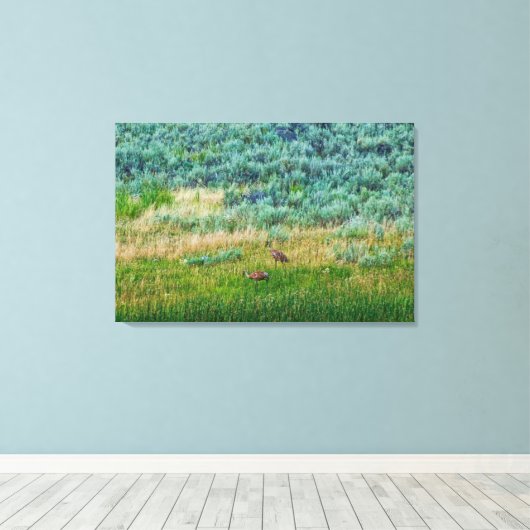 Sandhill Cranes Leinwanddruck (Insitu (Holzboden))