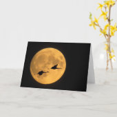 Sandhill Cranes | National Wildlife Reserve Karte (Gelbe Blume)