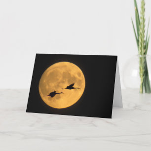 Sandhill Cranes   National Wildlife Reserve Karte