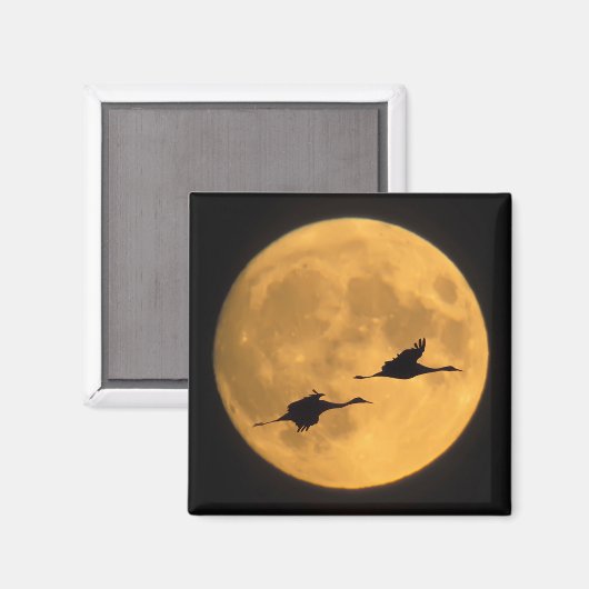 Sandhill Cranes | National Wildlife Reserve Magnet (Vorderseite/Rückseite)