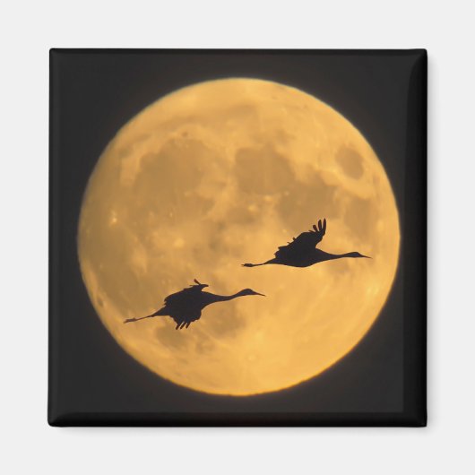 Sandhill Cranes | National Wildlife Reserve Magnet (Vorne)