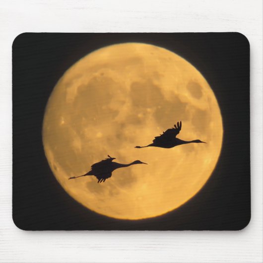 Sandhill Cranes | National Wildlife Reserve Mousepad (Vorne)
