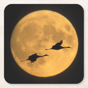 Sandhill Cranes National Wildlife Reserve Rechteckiger Pappuntersetzer