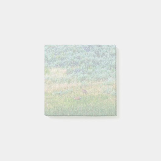 Sandhill Cranes Post-it Klebezettel (Vorderseite)