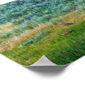 Sandhill Cranes Poster (Ecke)