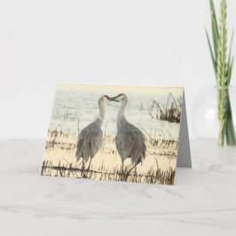 Sandhill Cranes Valentine Karte