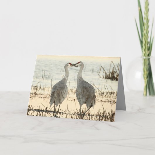 Sandhill Cranes Valentine Karte (Vorderseite)