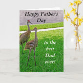Sandhill Cranes - Vatertag - Geburtstag Karte (Gelbe Blume)