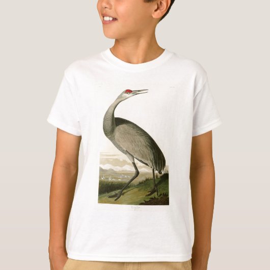 Sandhill Kran-John James Audubon-Vögel von Amerika T-Shirt (Vorderseite)