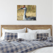 Sandhill Kran Leinwanddruck (Insitu (Schlafzimmer))