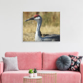 Sandhill Kran Leinwanddruck (Insitu (Wohnzimmer))