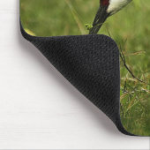 Sandhill Kran u. Baby mousepad (Ecke)