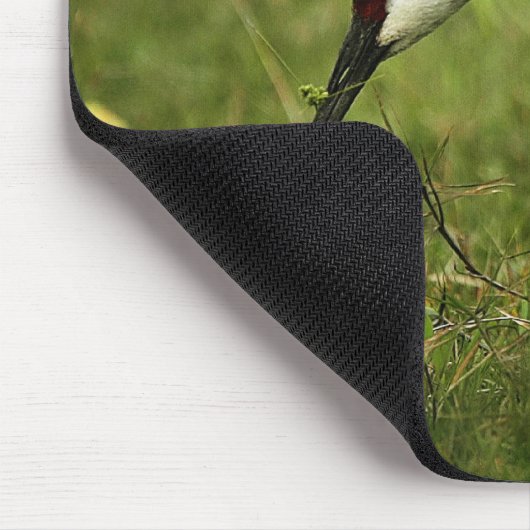 Sandhill Kran u. Baby mousepad (Ecke)