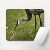 Sandhill Kran u. Baby mousepad (Mit Mouse)