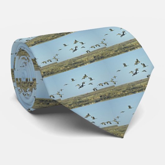 Sandhill Kräne Krawatte (Gerollt)