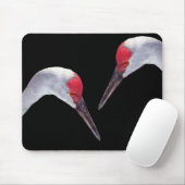 Sandhill Kräne Mousepad (Mit Mouse)