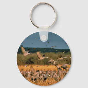 Sandhill Kräne Schlüsselanhänger