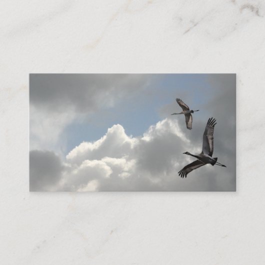 SANDHILL KRÄNE VISITENKARTE (Vorderseite)