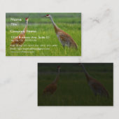 Sandhill Kräne Visitenkarte (Vorne/Hinten)