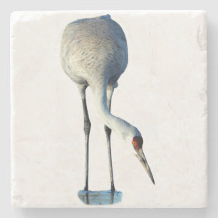 Sandhill-Kranich-Foto-Steinuntersetzer Steinuntersetzer