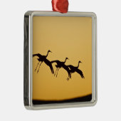 Sandhill Kranlandung am Sonnenuntergang Silbernes Ornament (Rechts)