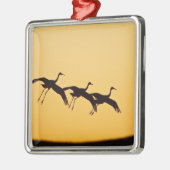 Sandhill Kranlandung am Sonnenuntergang Silbernes Ornament (Links)
