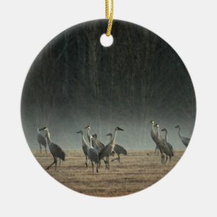 Sandhill streckt am frühen Morgen Frühlings-Nebe Keramikornament