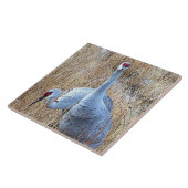 Sandhill streckt Fliese (Seite)