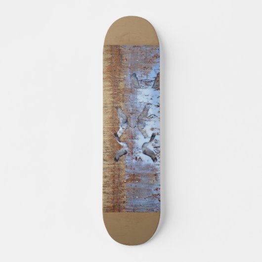 Sandhill streckt Fotografie-Skateboard Skateboard (Vorne)