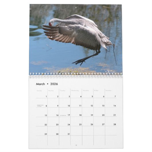 Sandhill streckt Kalender 2017 (Mär 2026)