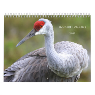 Sandhill streckt Kalender 2017