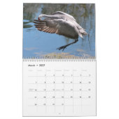 Sandhill streckt Kalender 2017 (Mär 2027)
