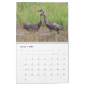 Sandhill streckt Kalender 2017 (Jan 2027)